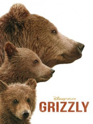 Grizzly