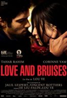 Love and Bruises