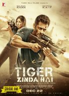 Tiger Zinda Hai