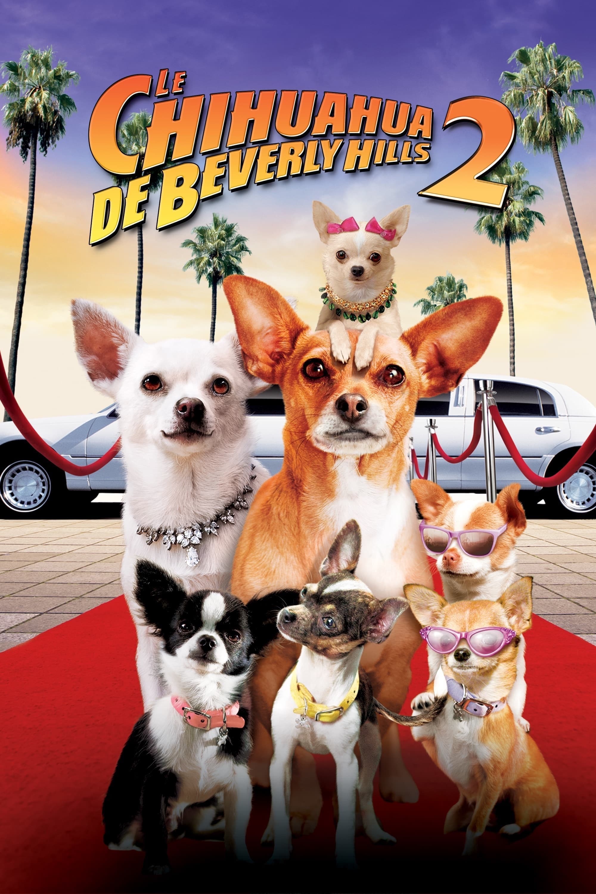 Le Chihuahua de Beverly Hills 2