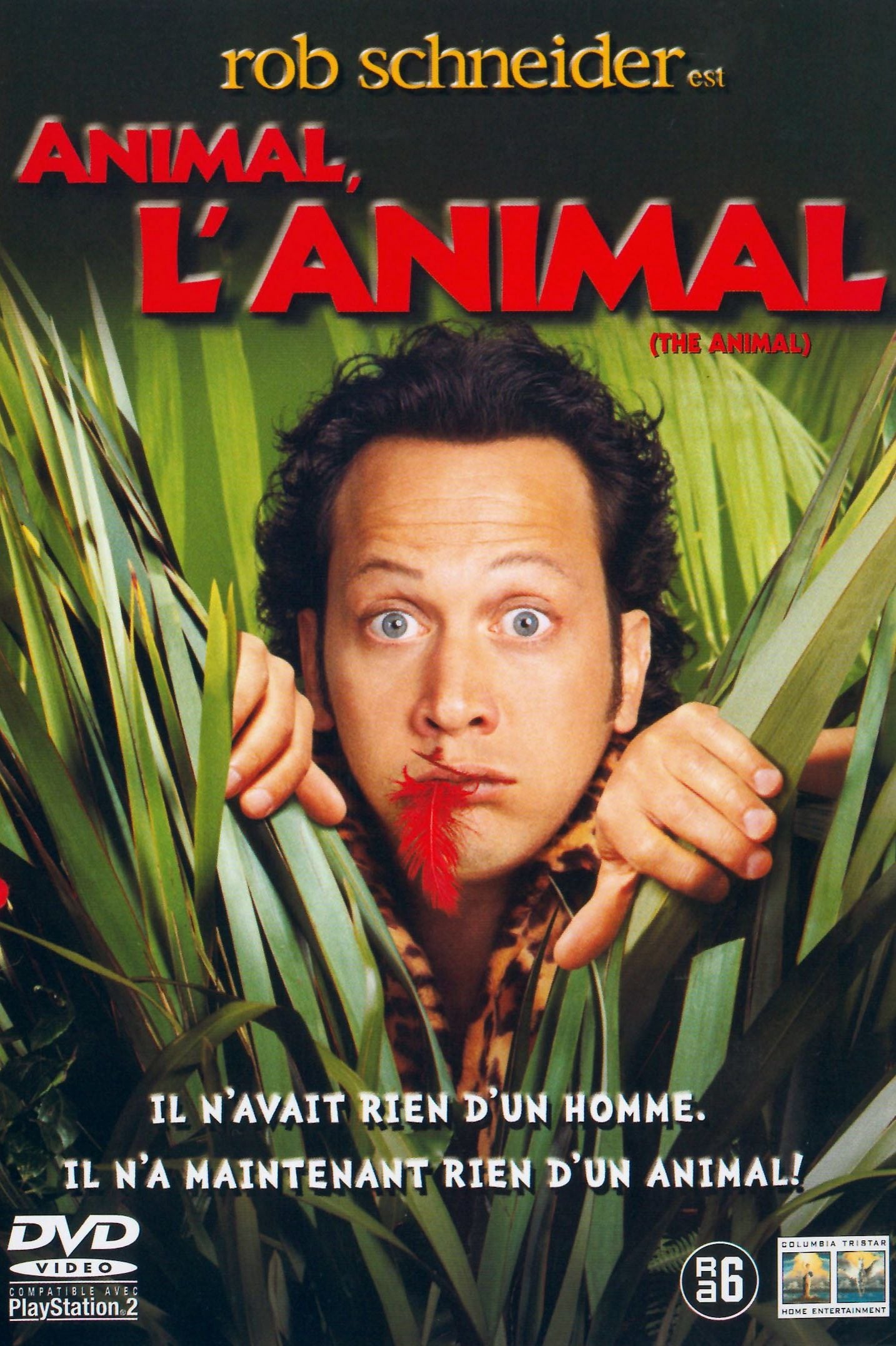 Animal ! L\'animal