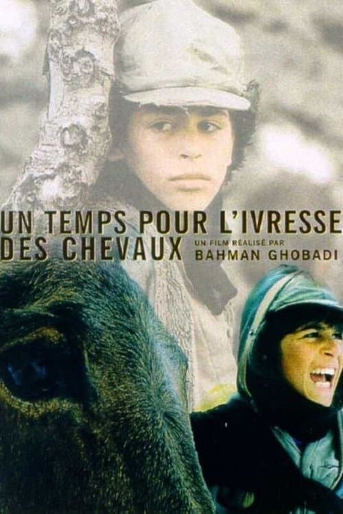 Un temps pour l\'ivresse des chevaux