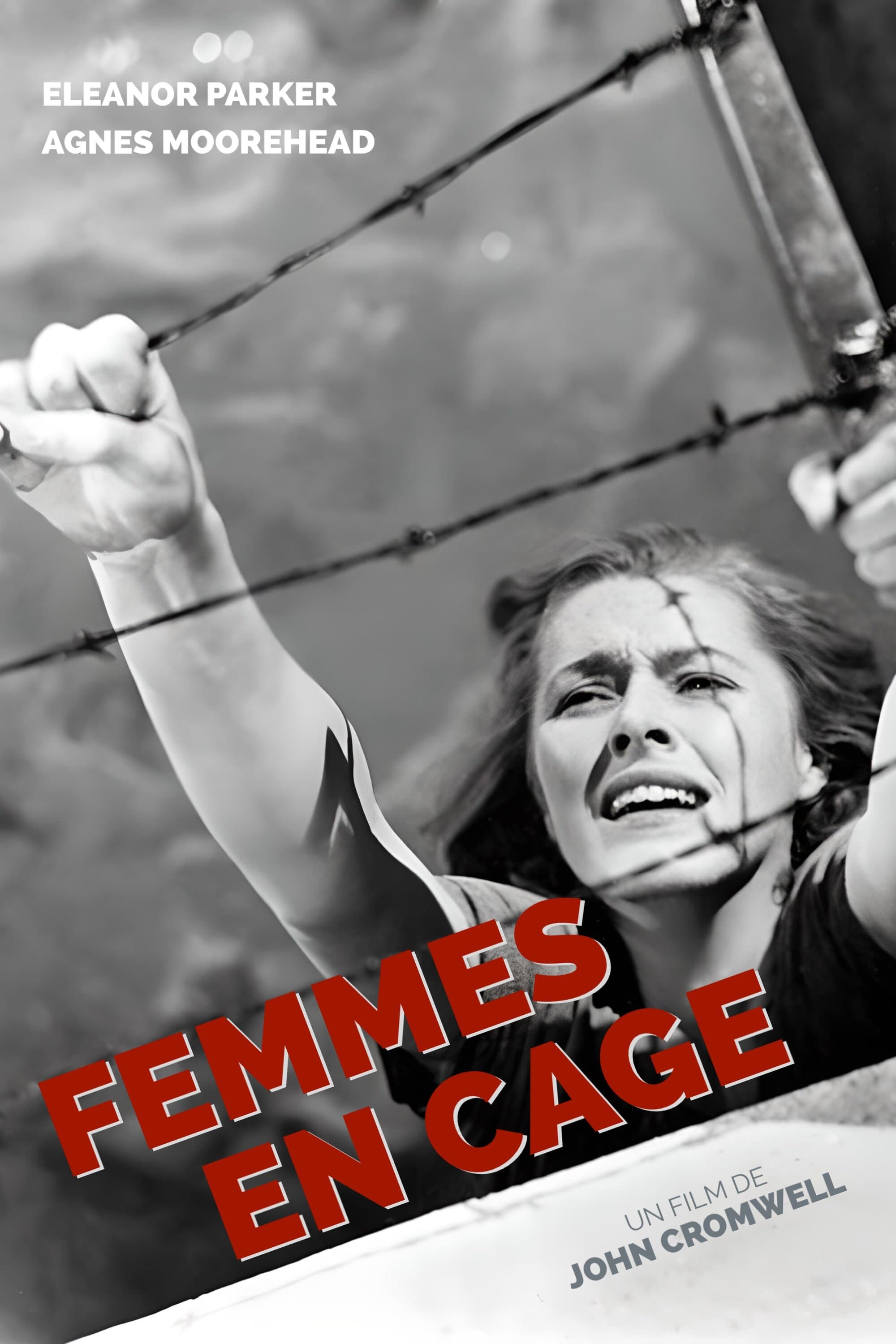 Femmes en cage