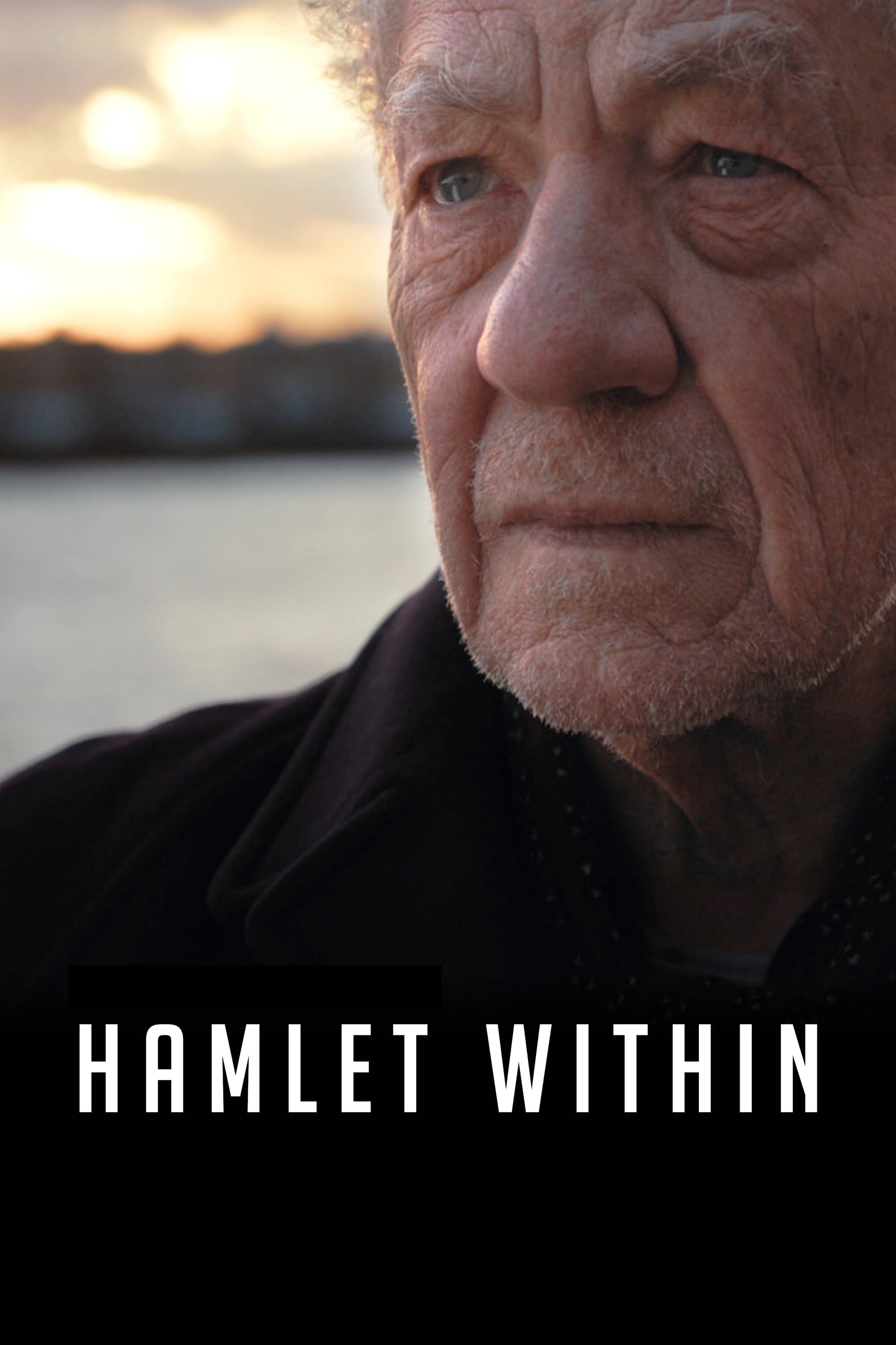 Hamlet Within