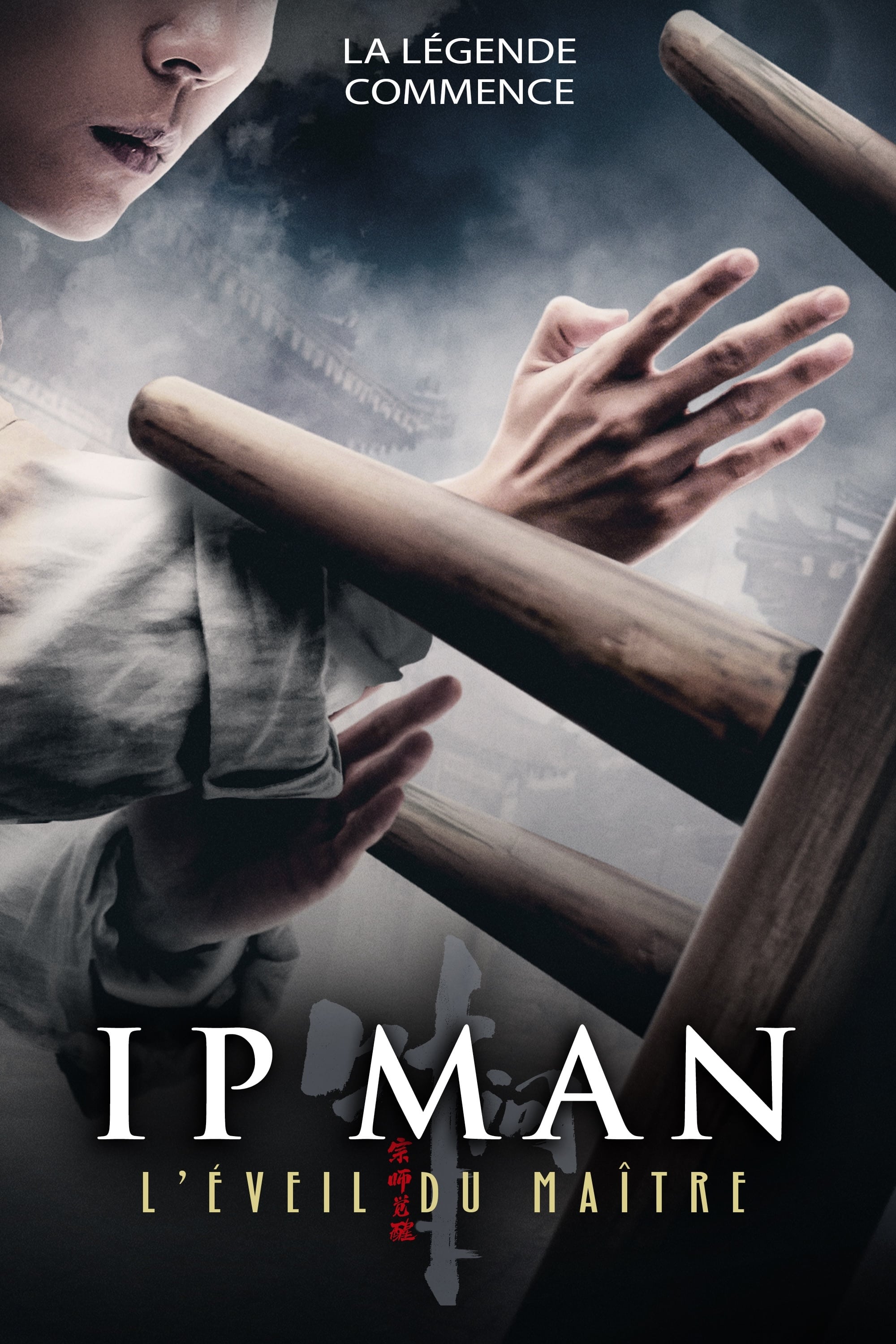 Ip Man : L\'Éveil du Maître