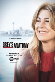 Grey's Anatomy streaming